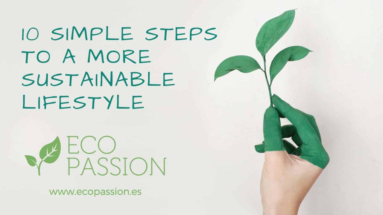 Steps To Establish A Sustainable Lifestyle Change