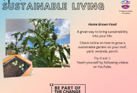 Practical Tips For Sustainable Living Simplifying Eco-Friendly Choices