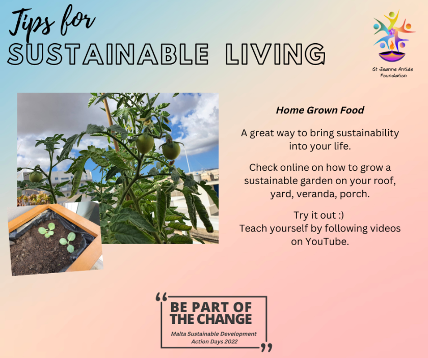 Practical Tips For Sustainable Living Simplifying Eco-Friendly Choices