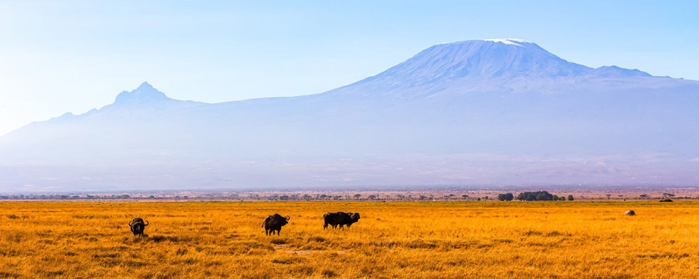 How To Find Unique Travel Experiences