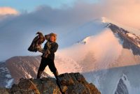 What Are The Most Popular Documentaries To Stream Now